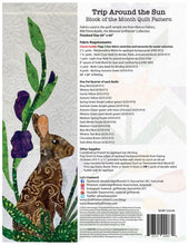 Load image into Gallery viewer, Material Girlfriends Trip Around the Sun quilt pattern